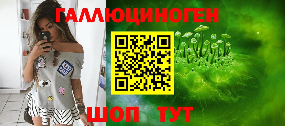 Галлюциногенные грибы Psilocybine cubensis Горячий Ключ